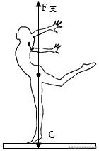 北方课堂初中物理,北方初中物理二力平衡视频