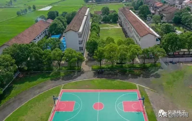 系列散文——李淑孟：我们的学校是花园（之二十）