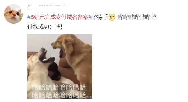 b站金融支付战局,b站涉足电商后半场的恐慌