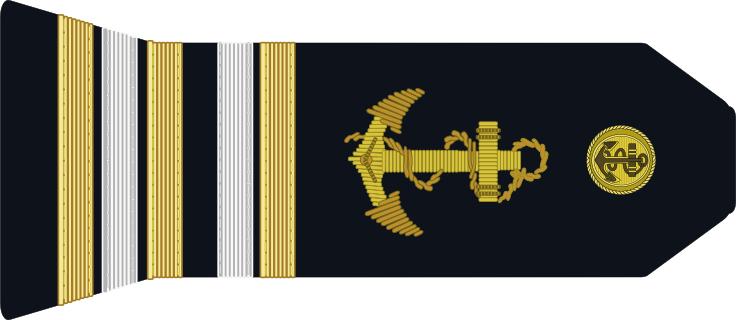 法国将军军衔等级,法国上校是什么军衔