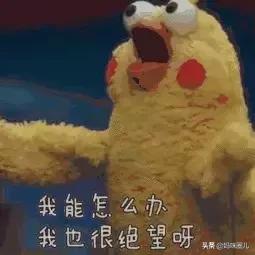 宝宝日常投喂食物,宝宝不吃垃圾食品反而抵抗力好