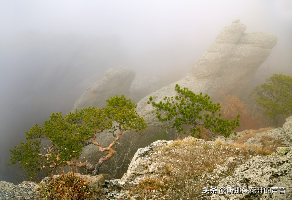 一念远方，一忆故土，两行泪