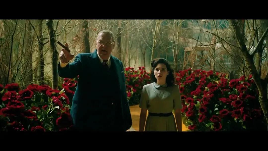 朱迪电影奥斯卡,奥斯卡影后朱迪