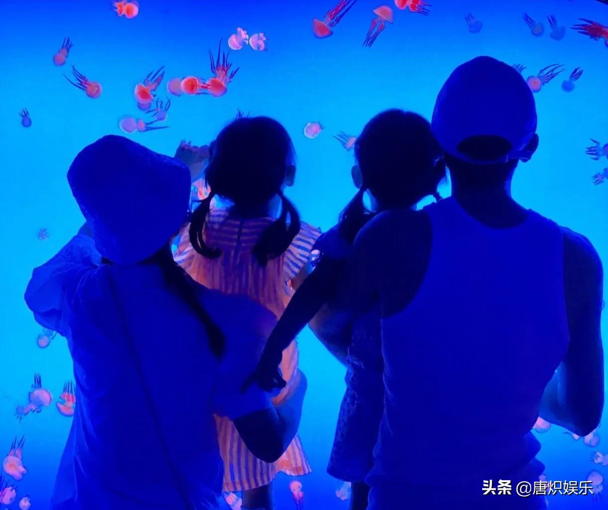 张杰谢娜二胎男孩女孩,张杰谢娜二胎是自然受孕吗