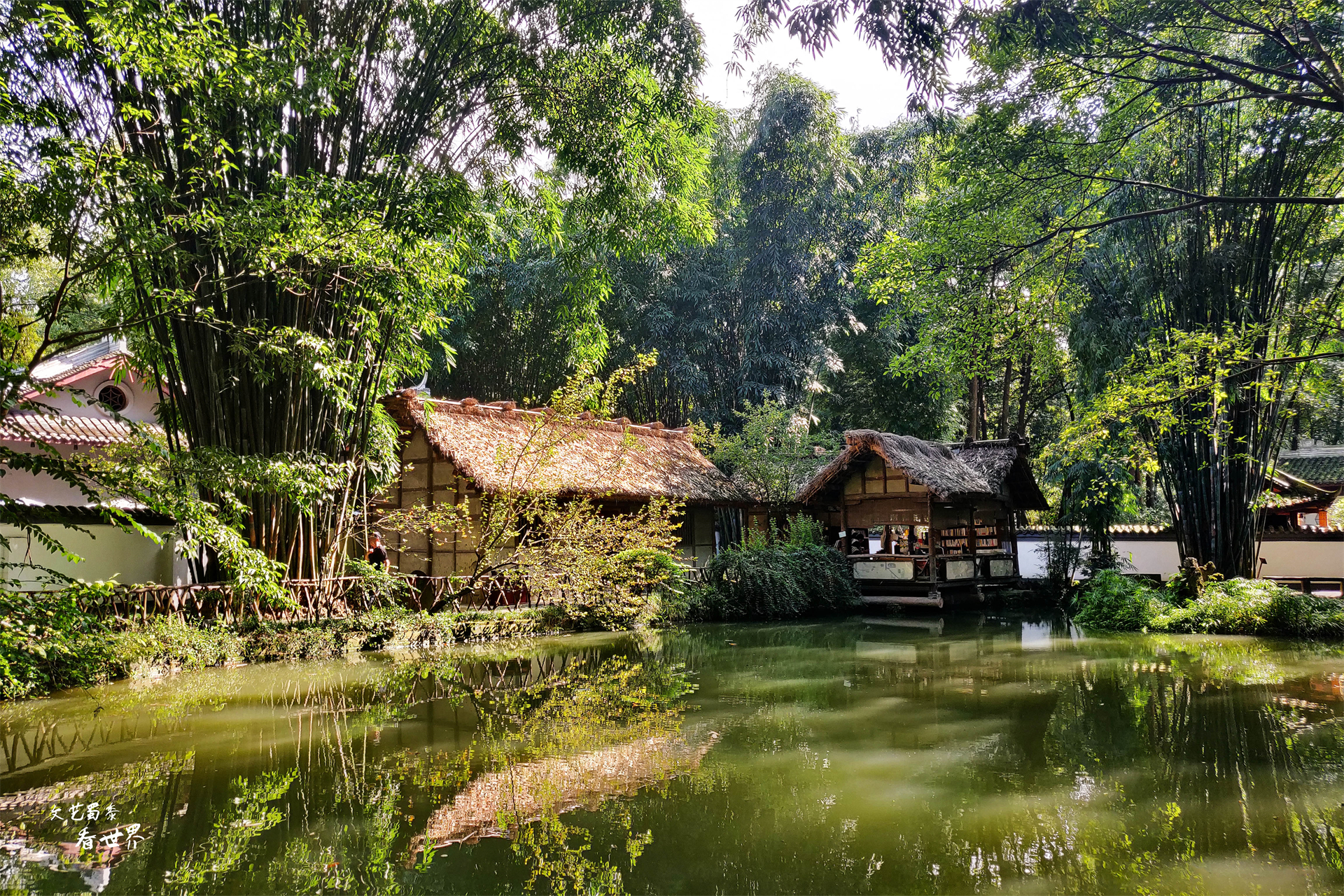 3-4天成都旅游详细攻略,周末去成都的旅游攻略大全