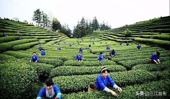 【“5.19”中国旅游日】国家移民管理局各边检总站齐发力，同为三江旅游扶贫打call!