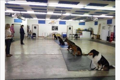 关于德国有哪些鲜为人知的冷知识,关于德国的小知识