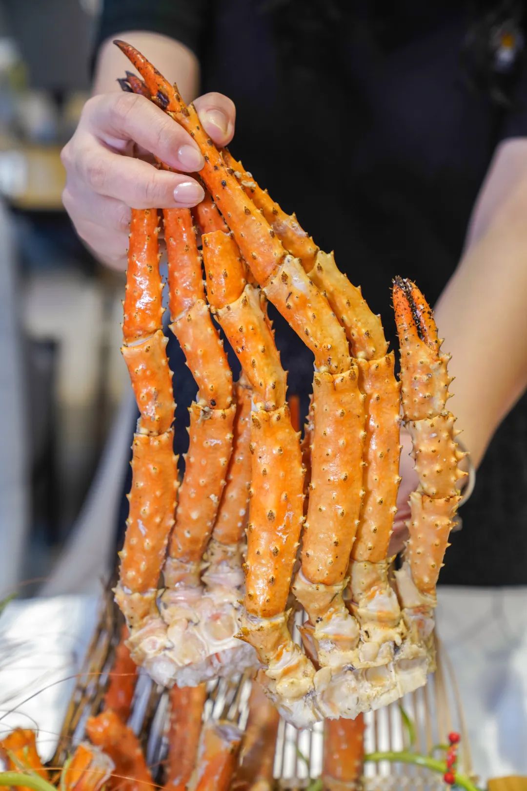 帝王蟹和安格斯,安格斯帝王蟹