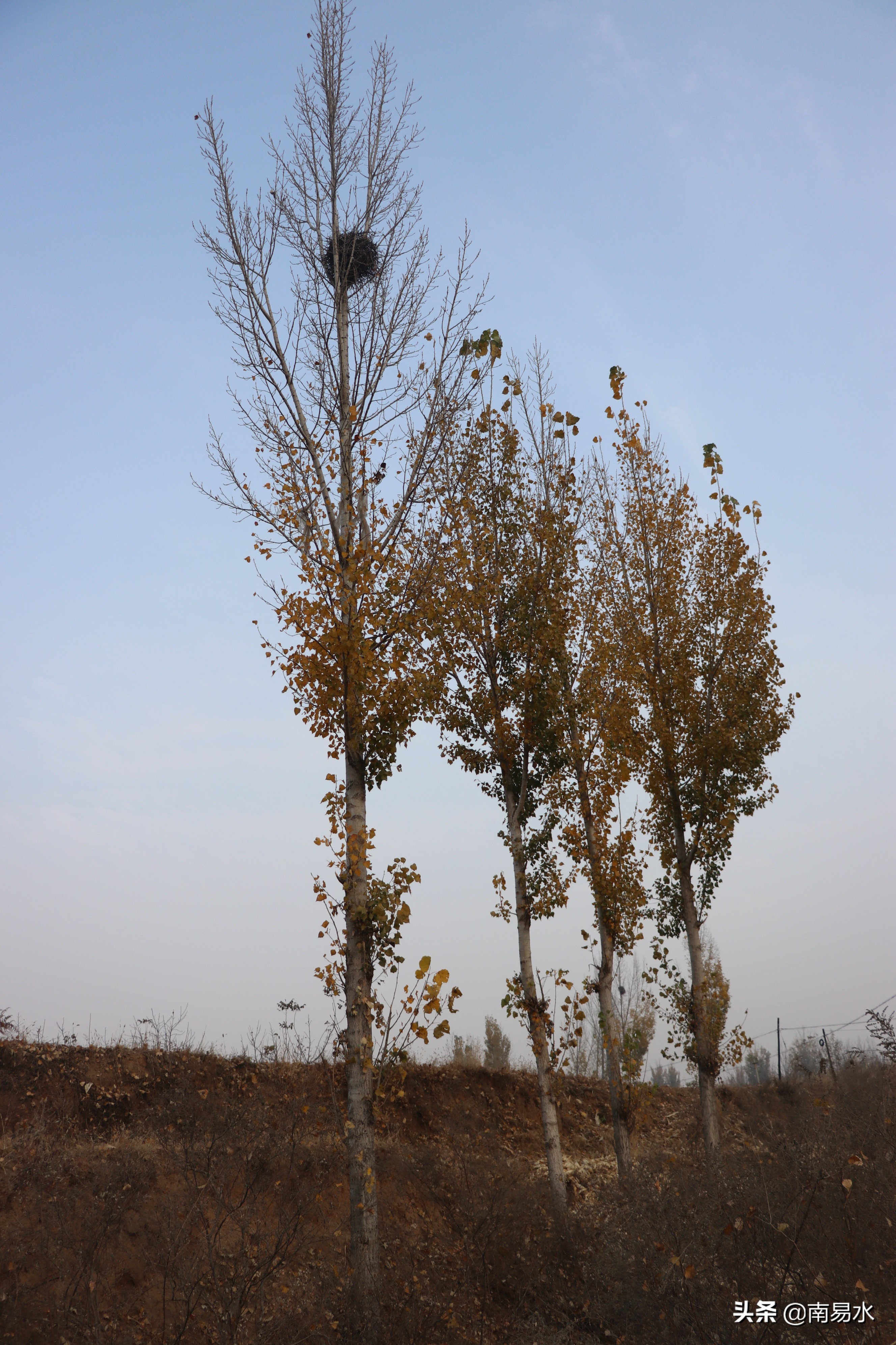 家乡风景带你一起感受自然的味道,令你难以忘怀的家乡的味道