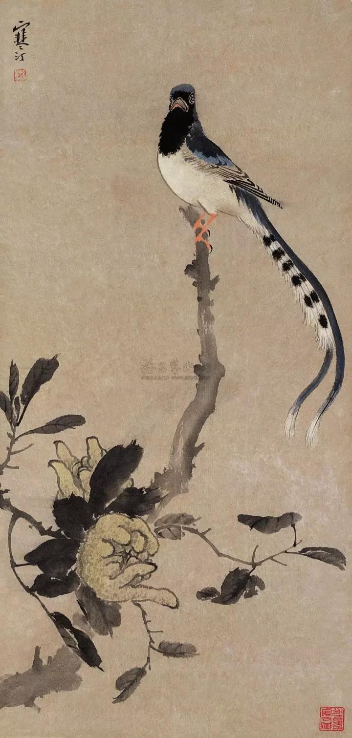 佛手只长叶不开花,佛手只有一种果子