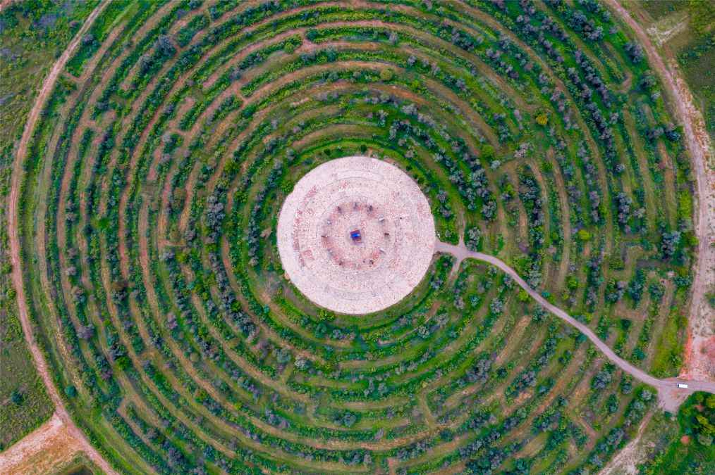 她是滔滔千里黄河的宠儿，阴山之下、河套之上的掌上明珠