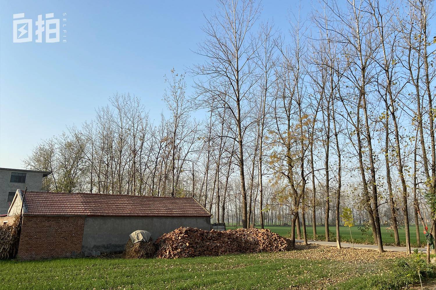 我，从农村穷孩子到在上海有车有房，整整花了十年时间