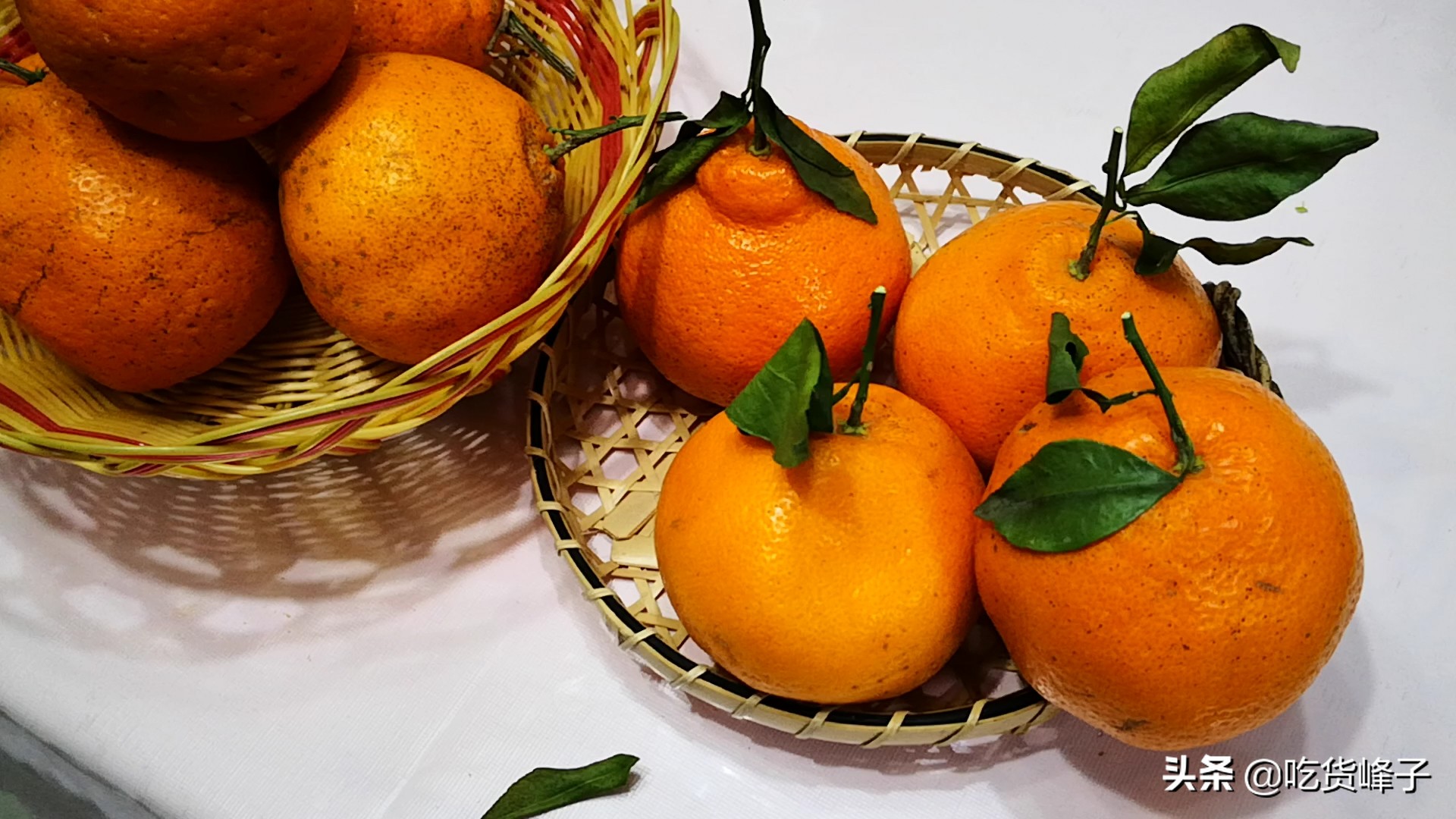 丑橘是转基因水果吗能吃吗,丑橘和转基因水果哪个好