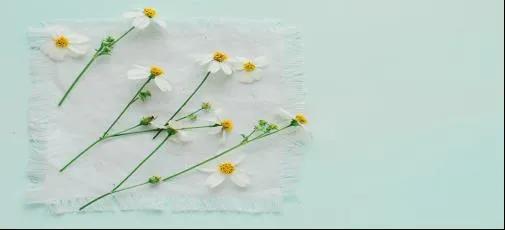 高中语文议论文关于选择,高中必考语文议论文论题大全