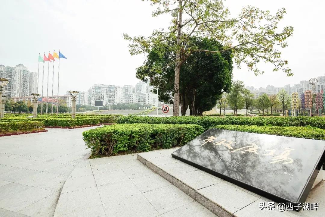 惠州淡水和台湾淡水,千山万水不如惠州淡水什么意思