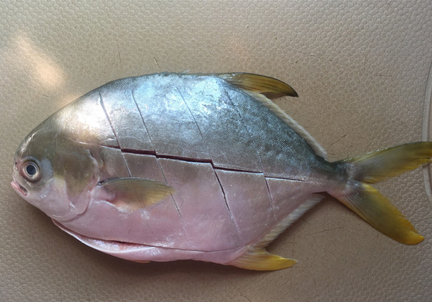 清炖鱼什么鱼炖的好吃,家常鱼炖法和什么炖最好吃