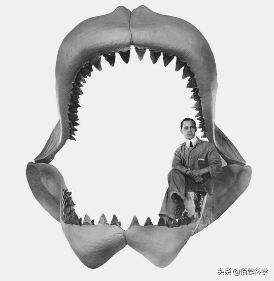 乌合麒麟给孟晚舟画的画图片,乌合麒麟孟晚舟作品解读