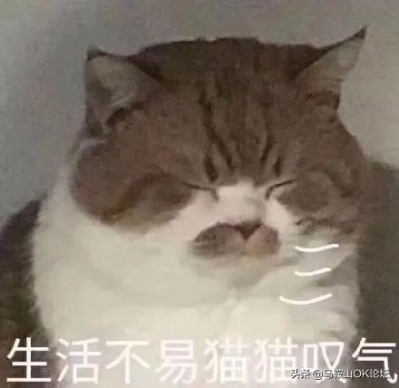 等疫情过了我要找对象了,疫情期间你们去找对象了吗