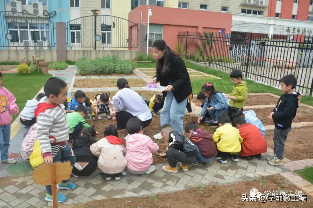 南京逸仙小学附属幼儿园,南京逸仙幼儿园性质