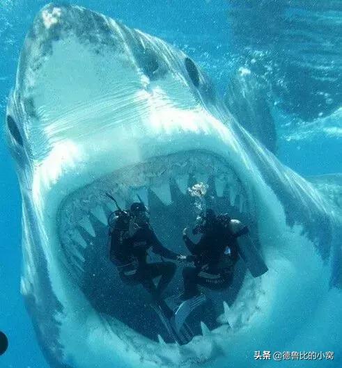 500年难得一见的顶级照片，让人叹为观止！