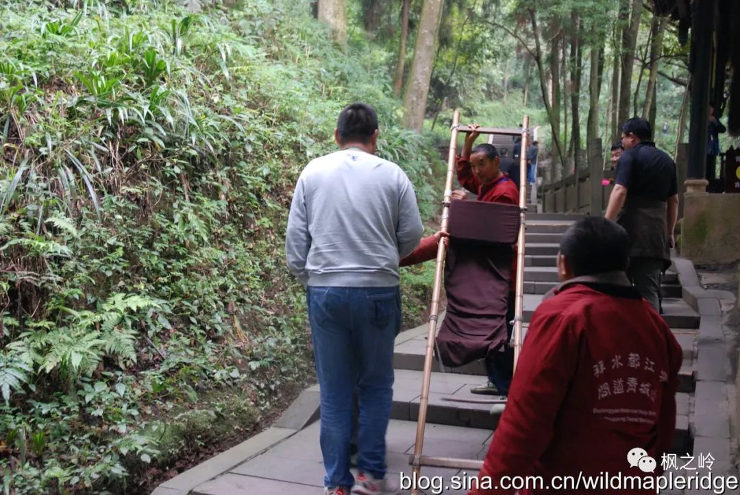 四川青城山问道,问道青城山最新消息