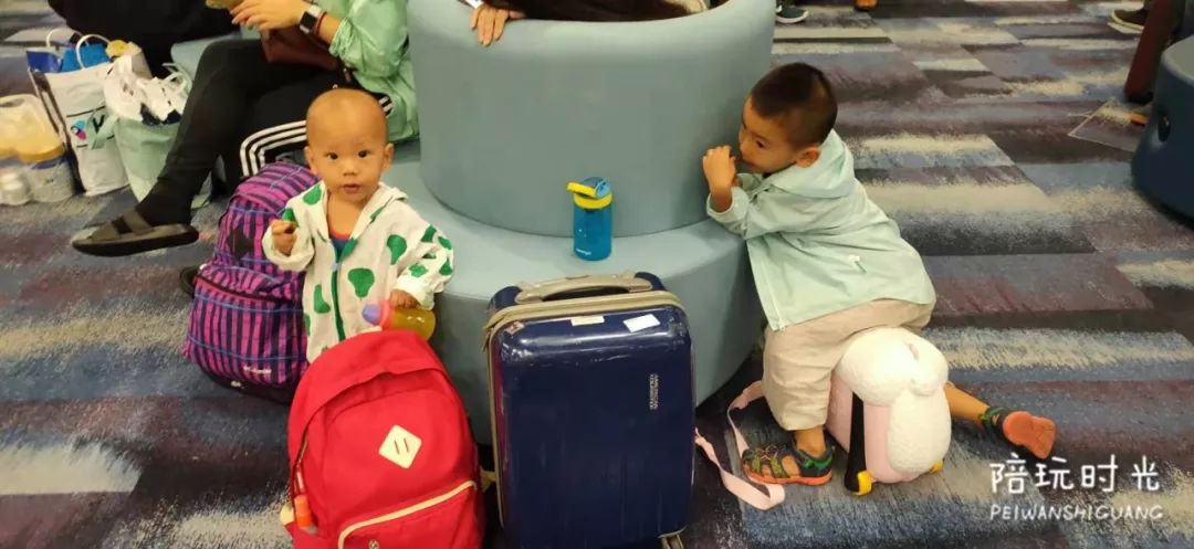 适合带娃旅游的海边酒店,哪个海岛酒店适合带娃