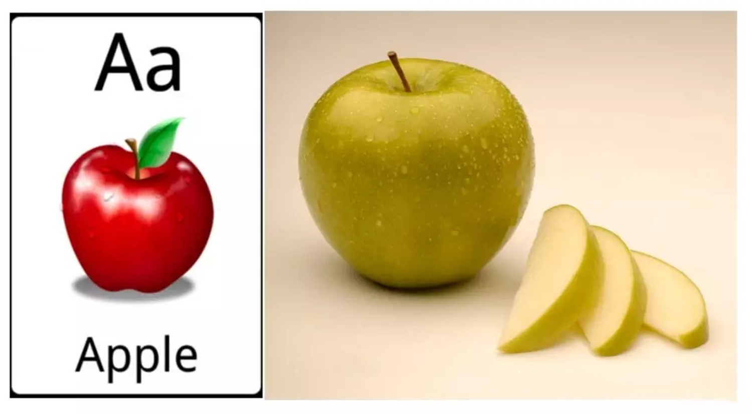 被吹嘘得神乎其神的“闪卡”，果真有如此功效吗？与超前教育无异