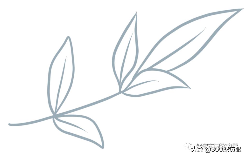 河北省保定同济中学,河北保定同济中学