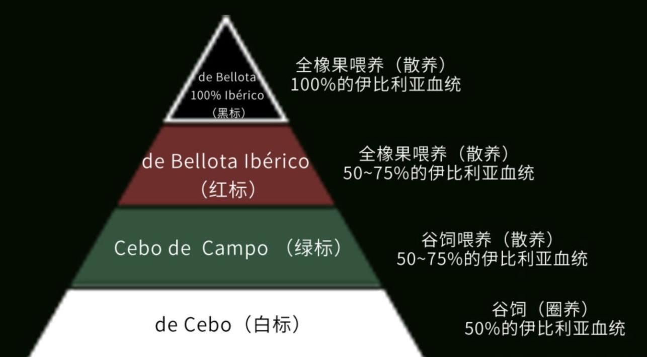比较出名的伊比利亚火腿,西班牙火腿性价比高的品牌