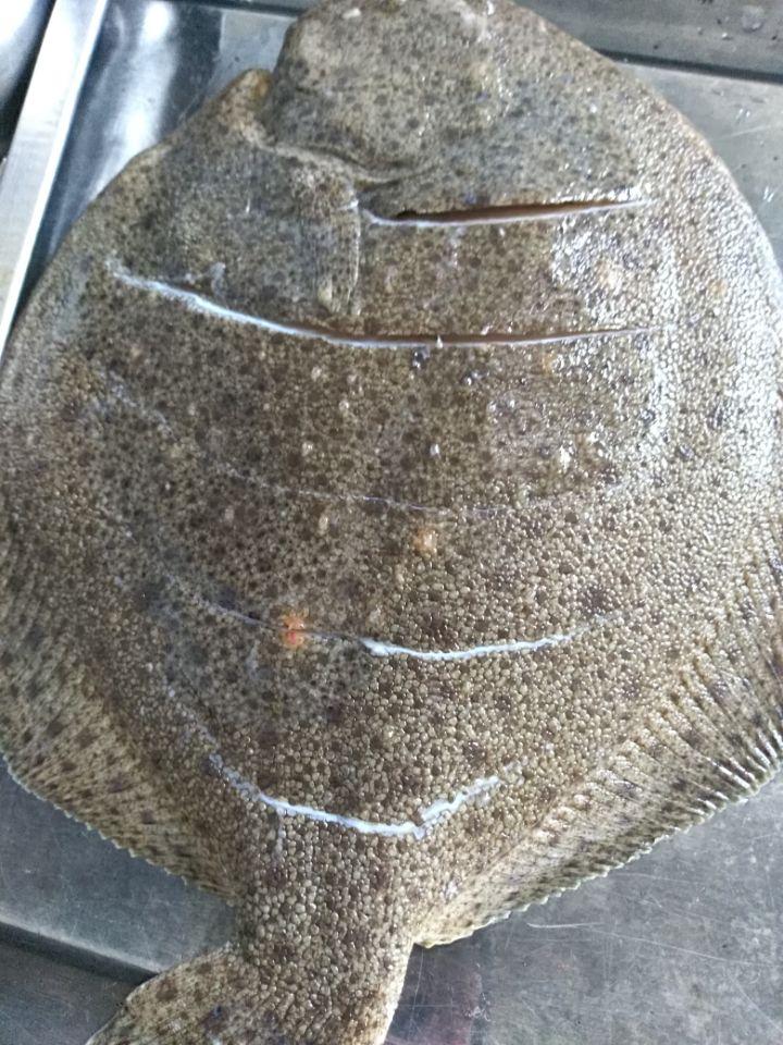 老东北美食清蒸多宝鱼的正确方法,清蒸多宝鱼这样一做比饭店都好吃