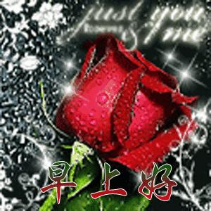 早晨问安：生命中，有风，有雨，但别忘也会有阳光，早晨好！