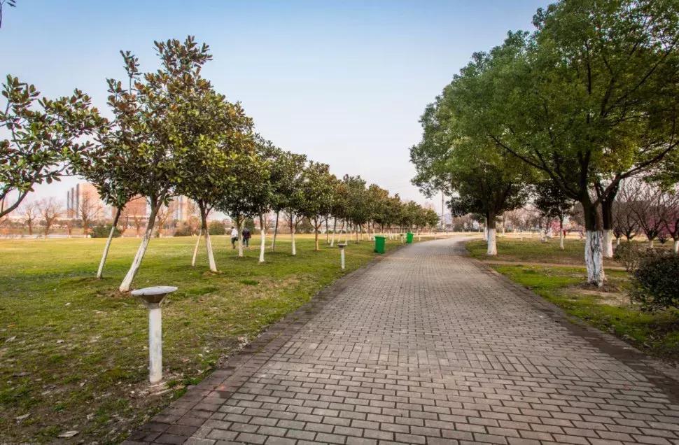 太全了,南京人少景美的免费公园