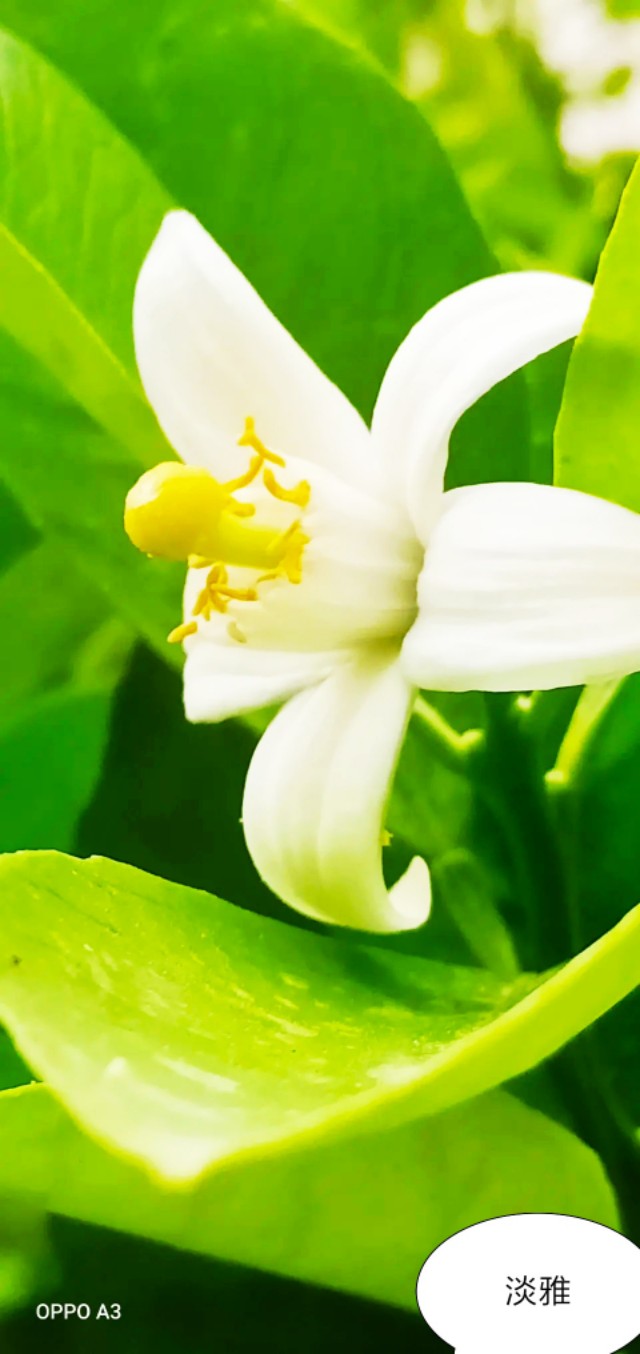 芒种种出新希望,芒种和幸福播种