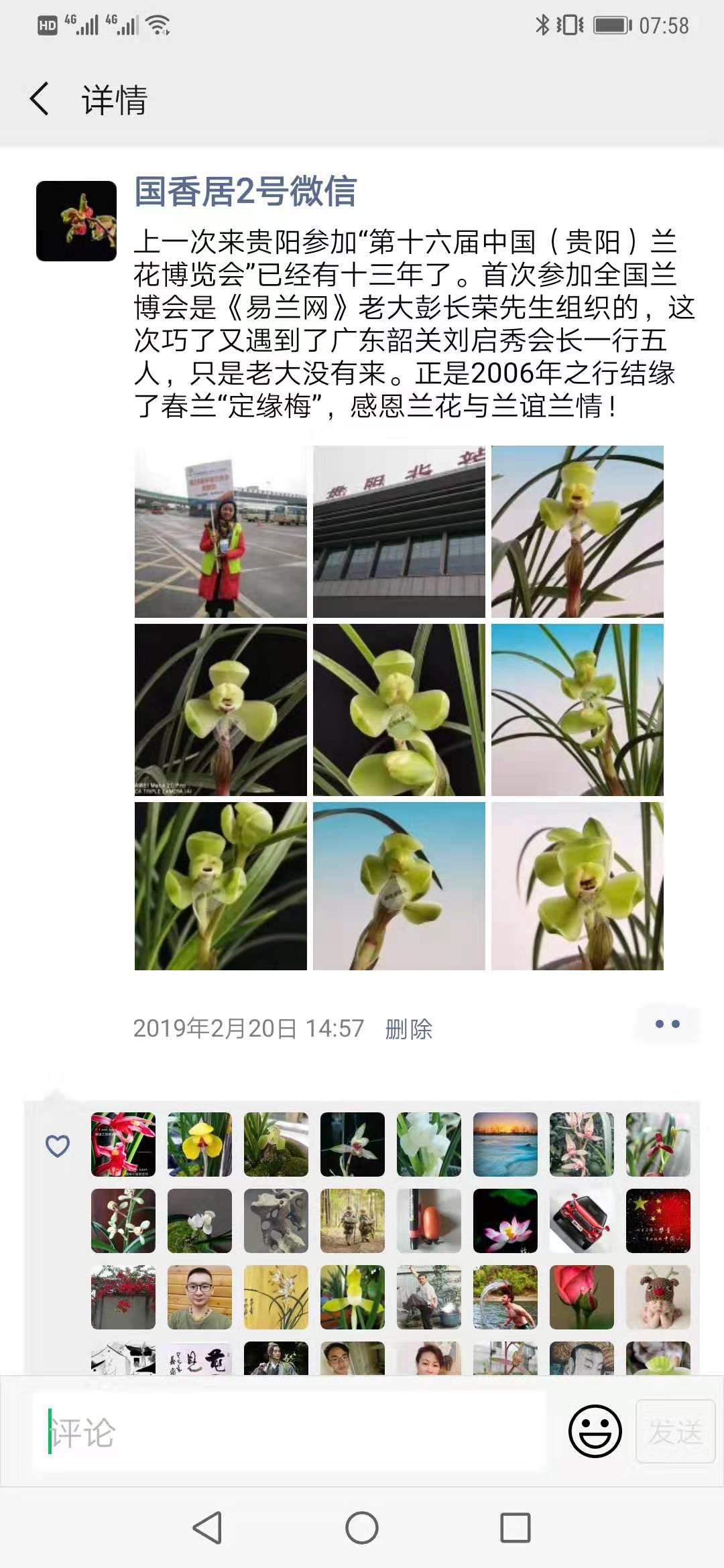 惠水第29届兰博会兰花获奖图片,惠水国际兰花展