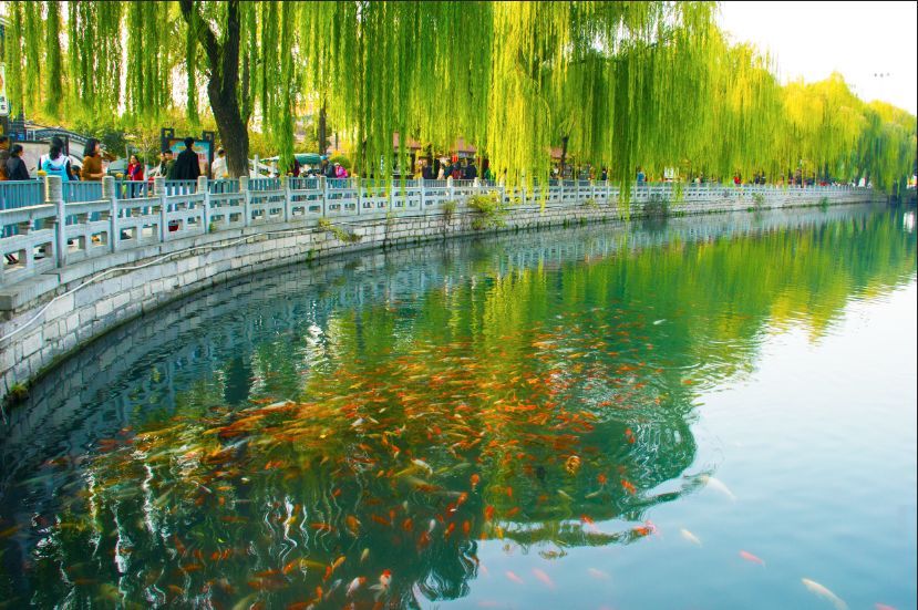 去济南找大明湖畔的夏雨荷,出发去济南看夏雨荷