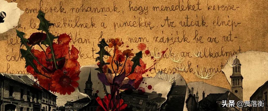 恶童日记电影解说,恶童电影的解析