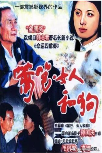 42部经典电影免费观看,42部经典电影片段