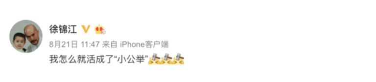 被忽视的颜值徐锦江,徐锦江任性率真