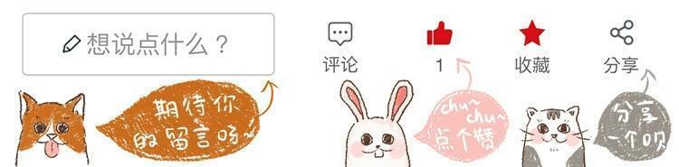 猫咪礼貌推开铲屎官,猫咪热情帮铲屎官牧羊