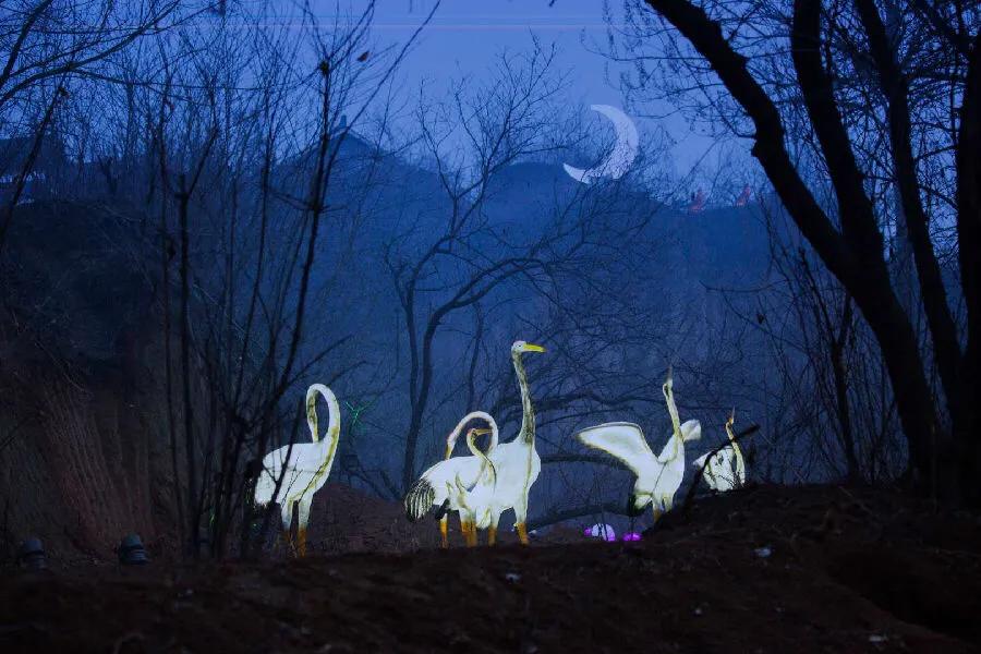 安心在家看视频,安心在家拍摄视频