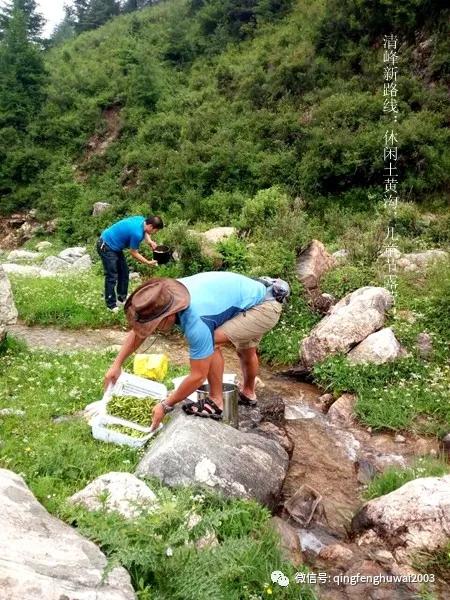 清峰户外回忆（26）清峰新路线：休闲土黄沟，儿童节露营