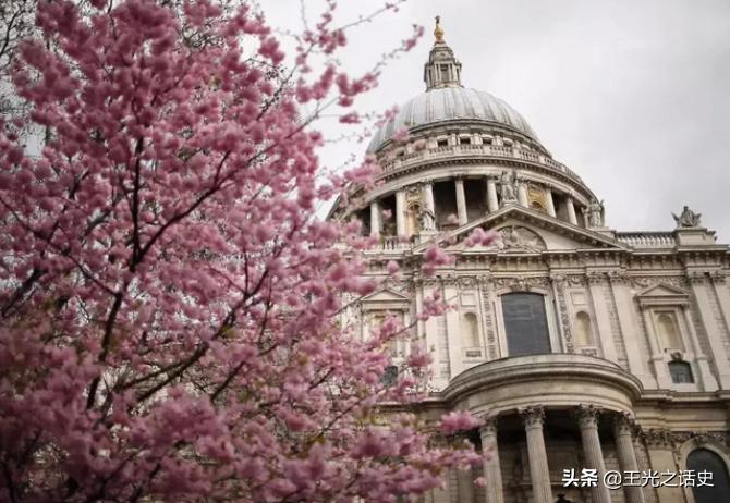 日本为什么把巴西当成第二故乡,巴西为什么是日本人的第二故乡