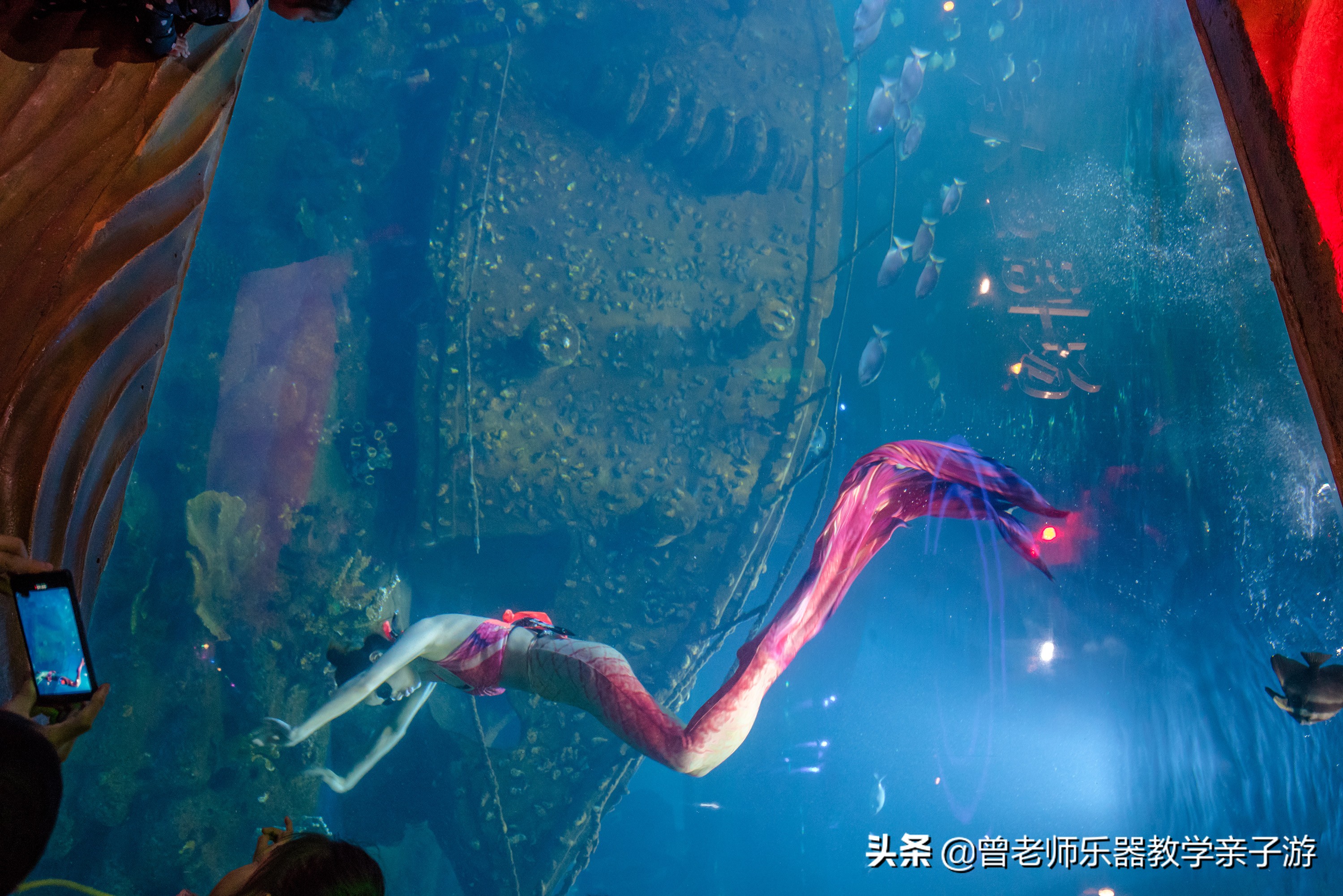 西安太奥海洋馆,西安极地海洋世界海豚表演