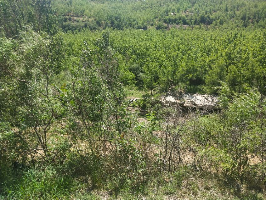 山东鲁家峪自然风景,鲁家峪泉水景点