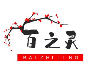 数字化实验探究明矾净水与盐的水解说课文稿