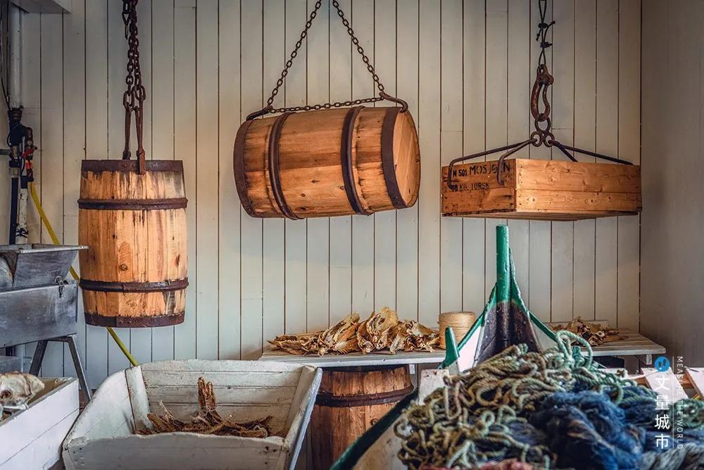 维京遇到全域旅游，美丽乡村、特点小镇一网打尽：挪威渔业史漫步