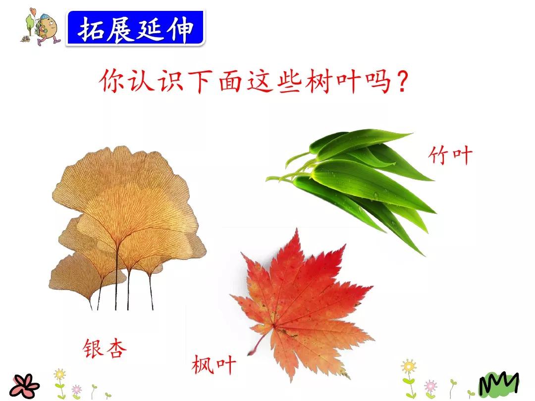 小学部编版三年级上册语文5课,三年级上册语文第5课水泥道朗读