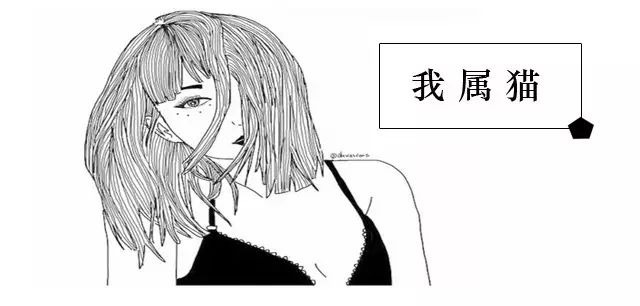 始于颜值陷于才华忠于人品下一句,始于颜值陷于才华忠于人品的英语