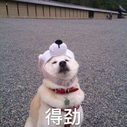 中性皮肤爽肤水推荐学生平价20元,好用的平价爽肤水推荐