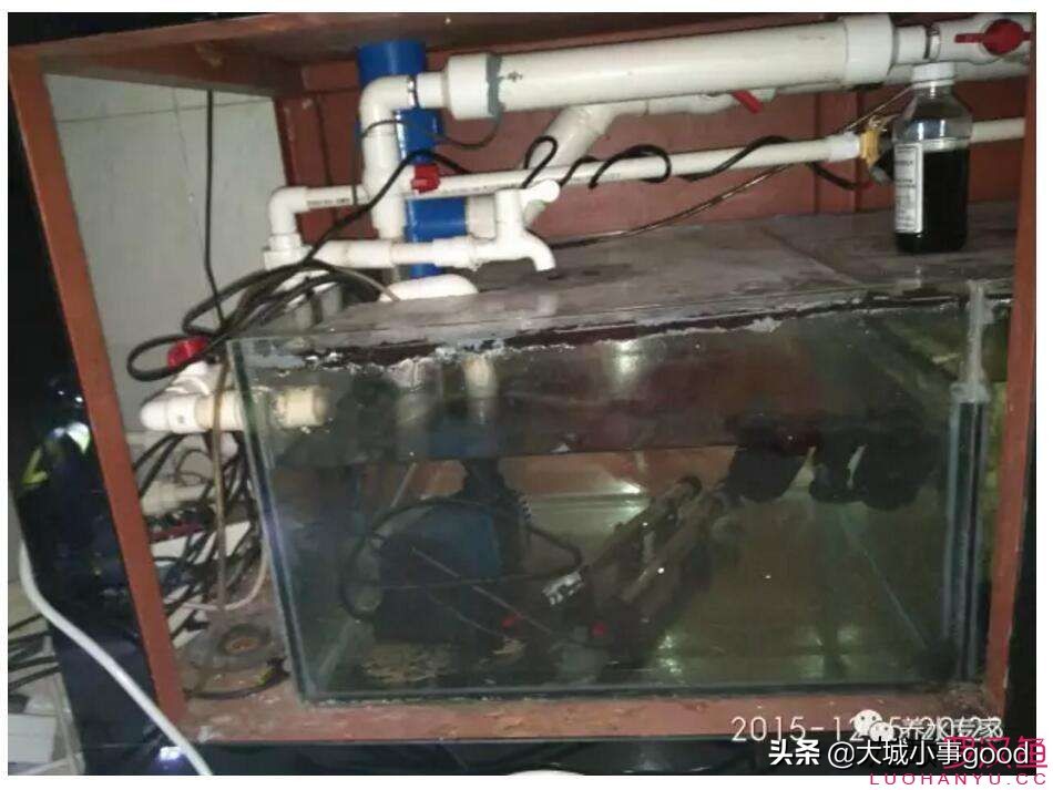鱼缸自动换水太快,鱼缸自动换水补水靠谱么